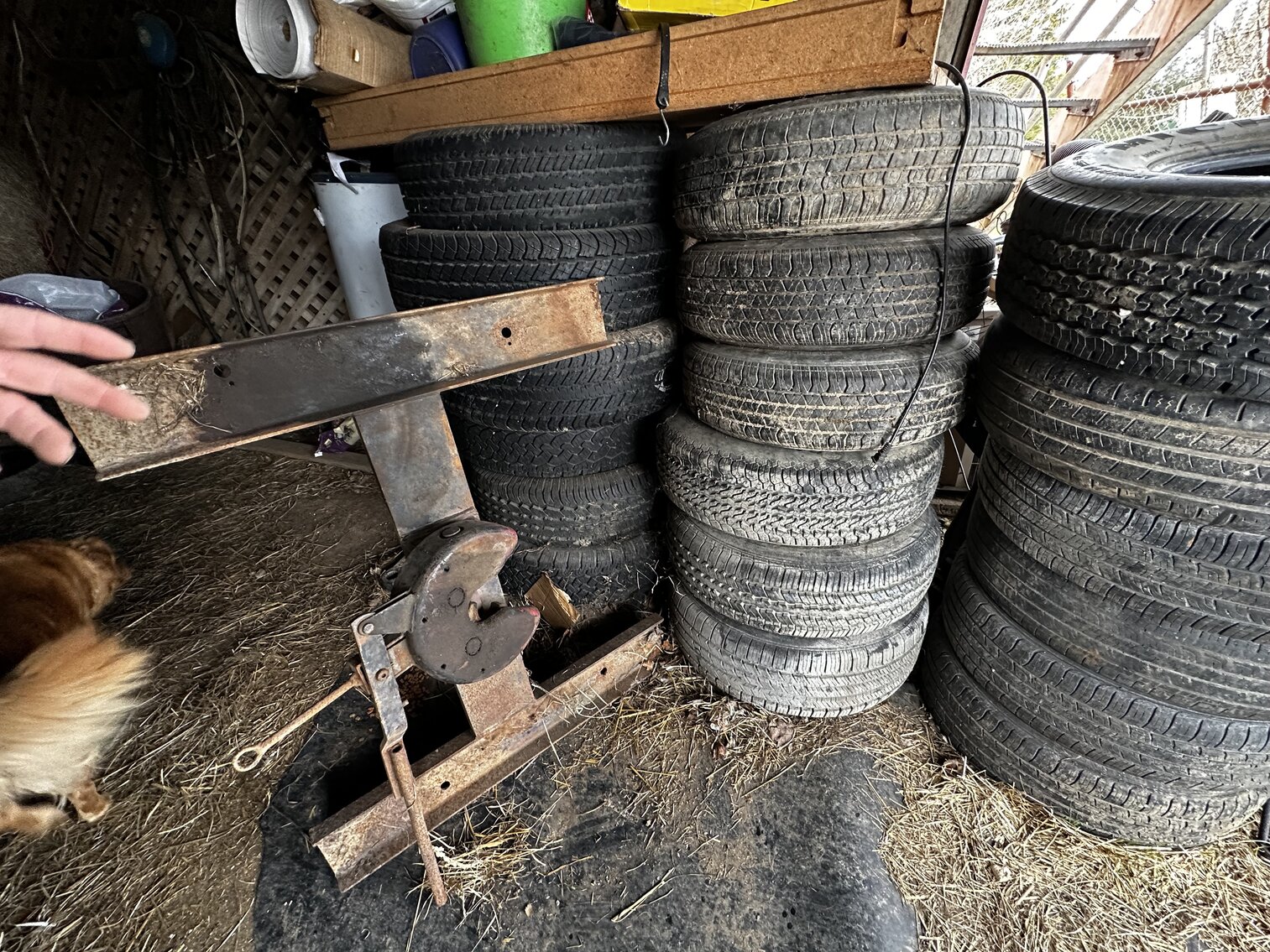 Image for Personal Property Auction・May 6th