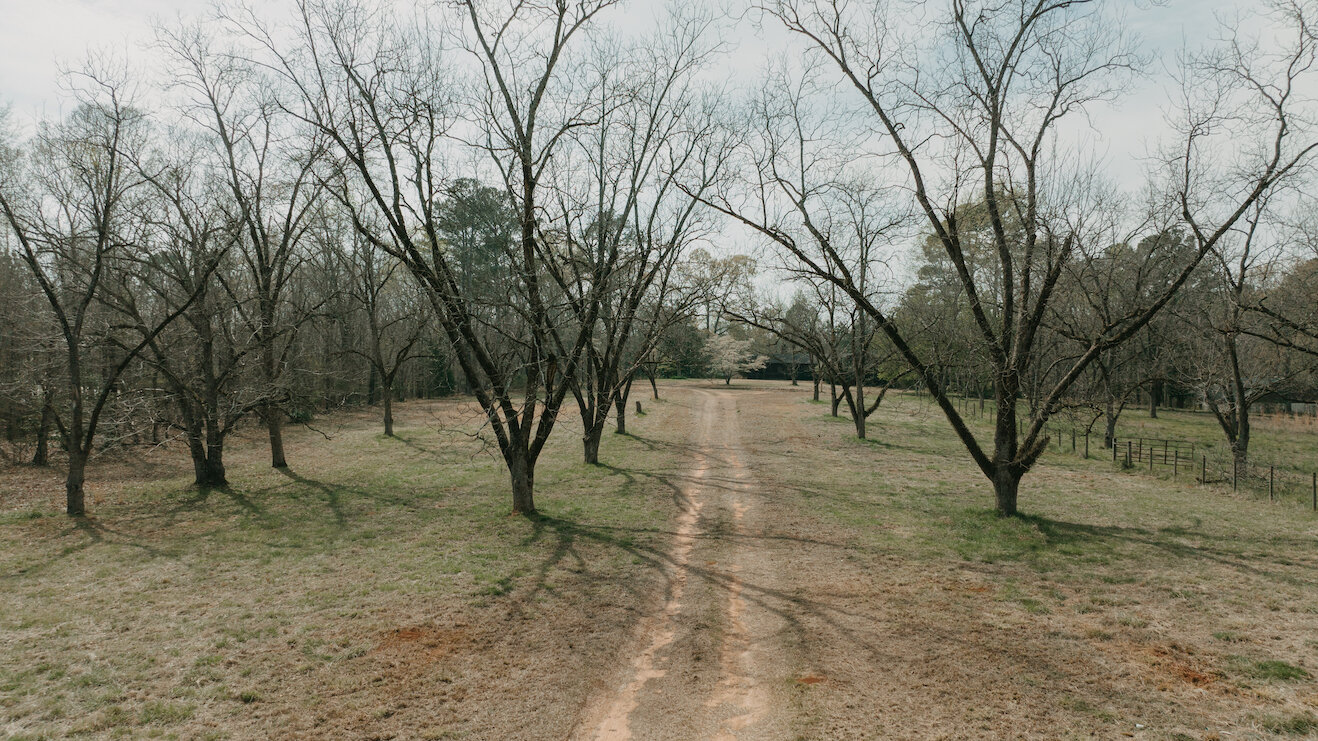 Image for 16.82+/- Equestrian Property and Home in Henry County, Georgia