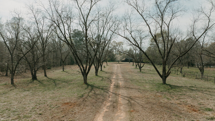 Image for 16.82+/- Equestrian Property and Home in Henry County, Georgia