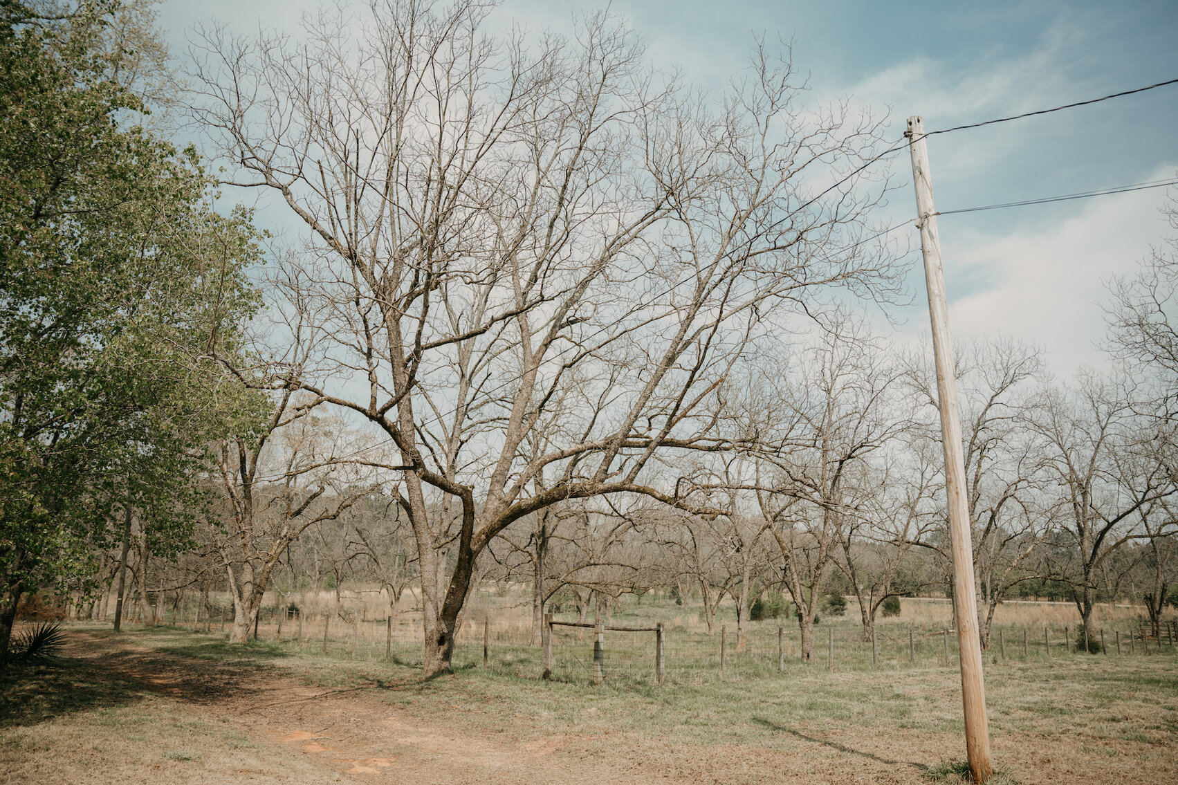 Image for 16.82+/- Equestrian Property and Home in Henry County, Georgia