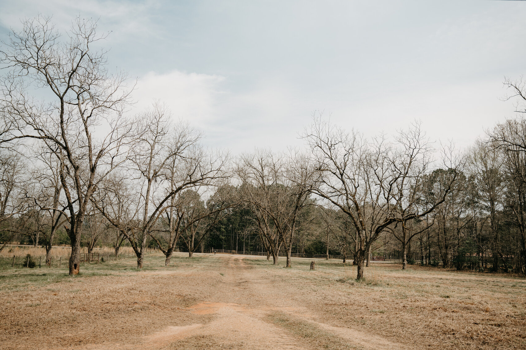 Image for 16.82+/- Equestrian Property and Home in Henry County, Georgia