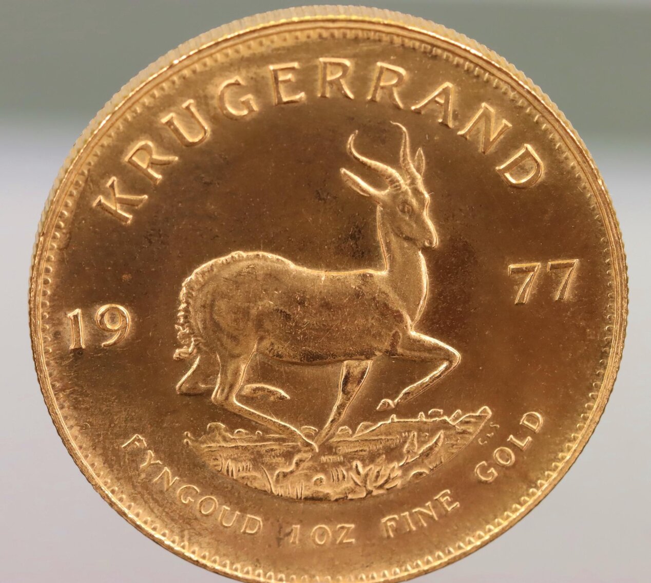 Image for Collectors | April 13, 2023 at 10:00 AM