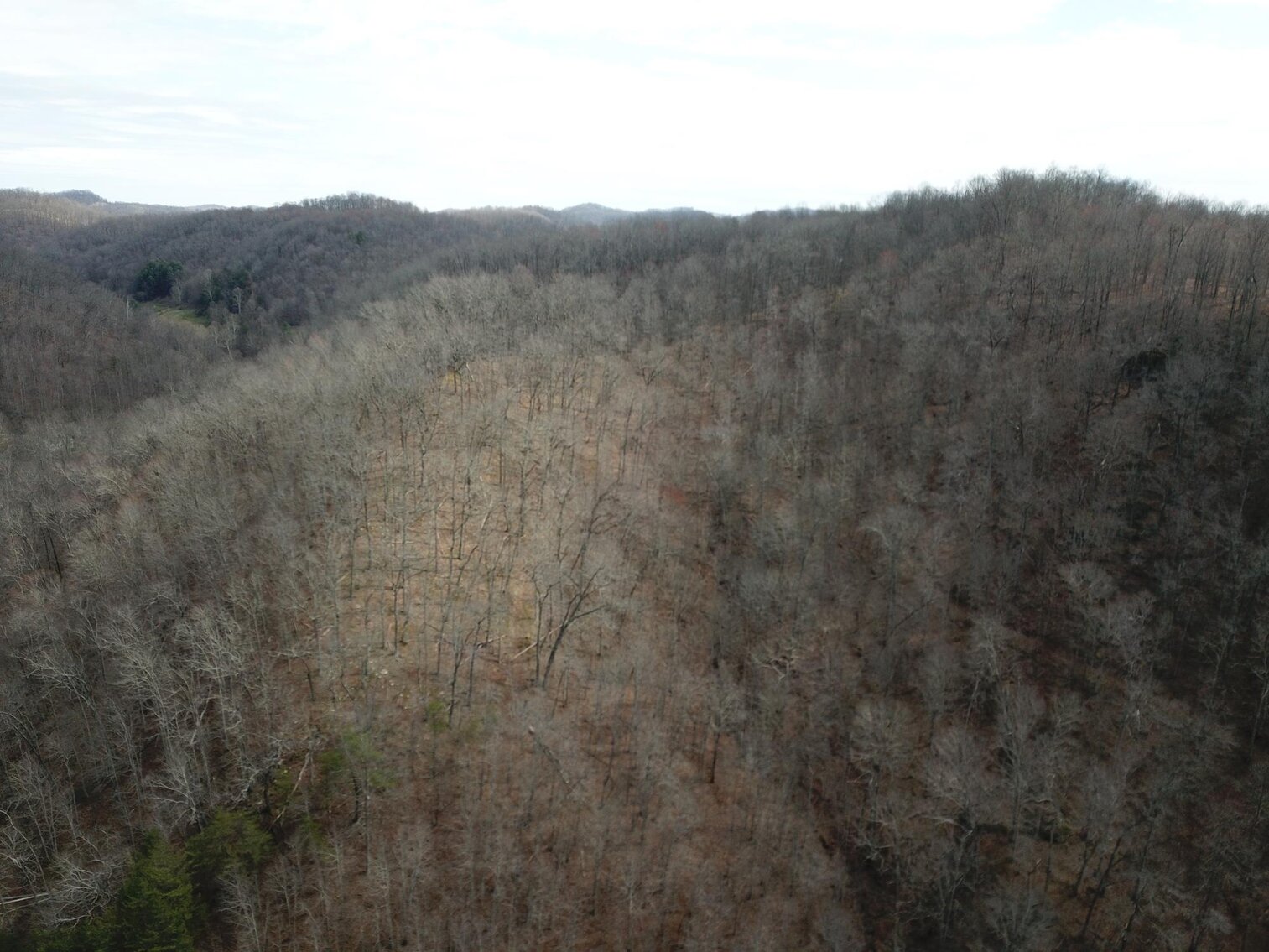 Image for SOLD $53,350 - 53 Acres Selling to the Highest Bidder