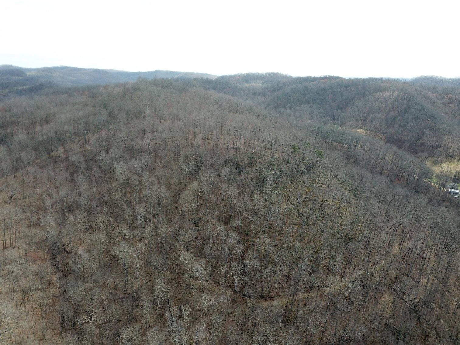 Image for SOLD $53,350 - 53 Acres Selling to the Highest Bidder