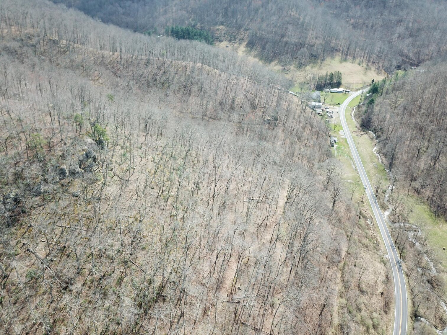 Image for SOLD $53,350 - 53 Acres Selling to the Highest Bidder