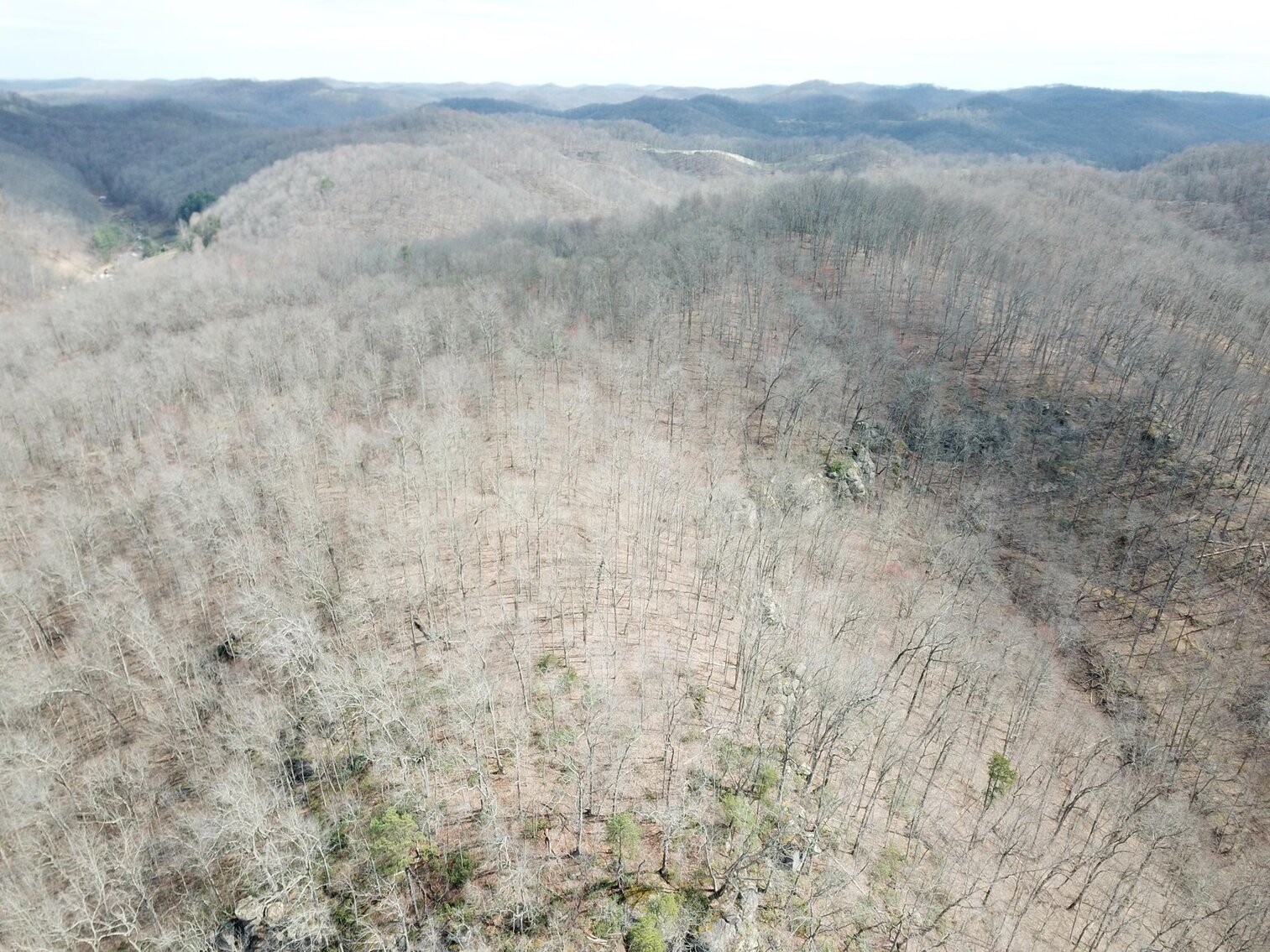 Image for SOLD $53,350 - 53 Acres Selling to the Highest Bidder