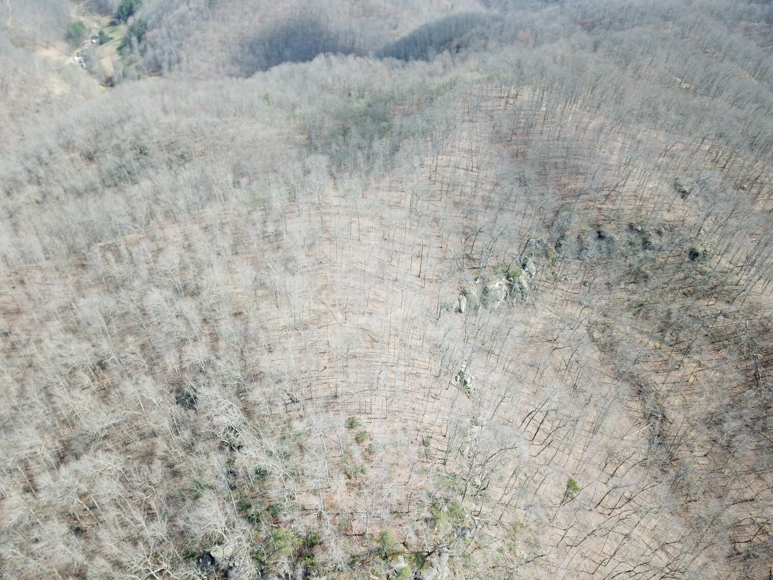 Image for SOLD $53,350 - 53 Acres Selling to the Highest Bidder