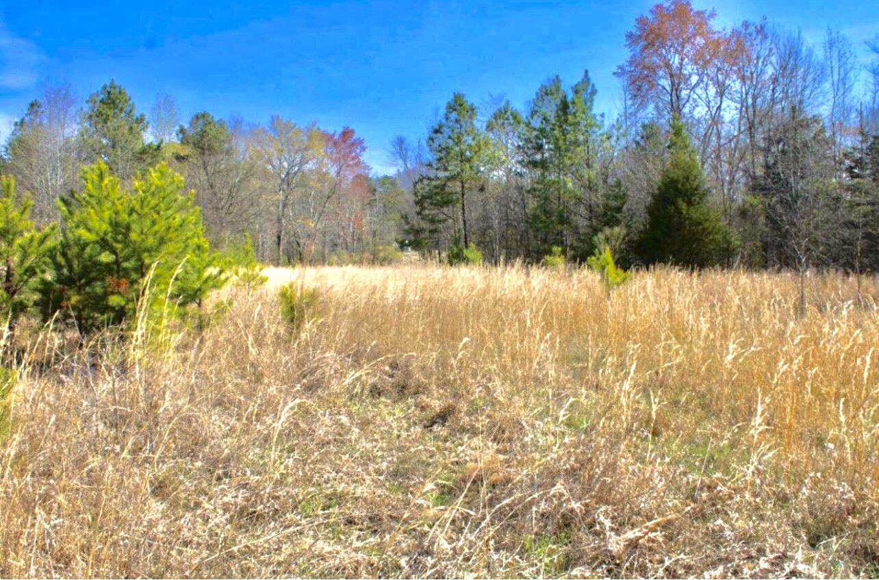 Image for Estate Property of the Late Ruth Morrow