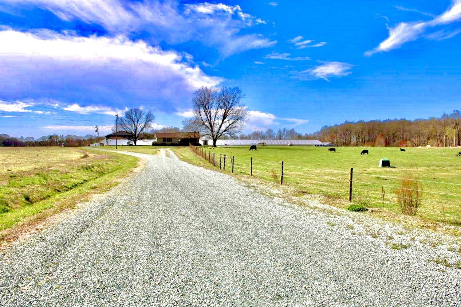 Image for Estate of the Late Danny Pike