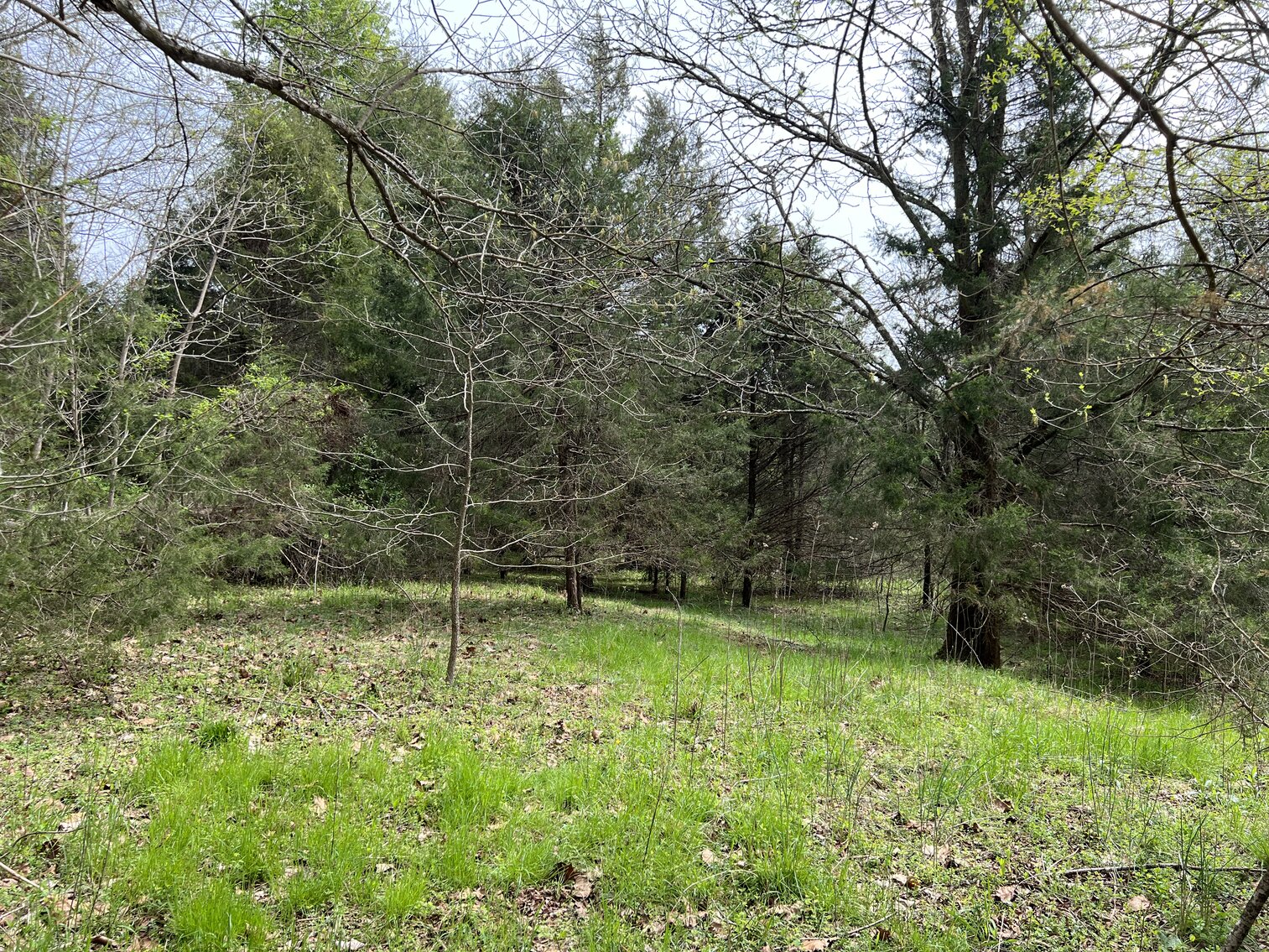 Image for Real Estate Auction - 60.9537± Acres in Forsyth County, NC