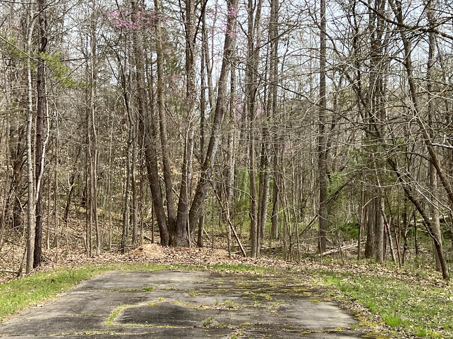 Image for Real Estate Auction - 60.9537± Acres in Forsyth County, NC