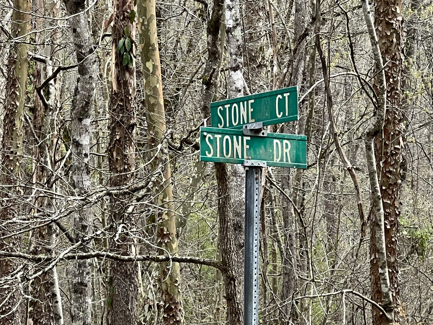 Image for Real Estate Auction - 60.9537± Acres in Forsyth County, NC