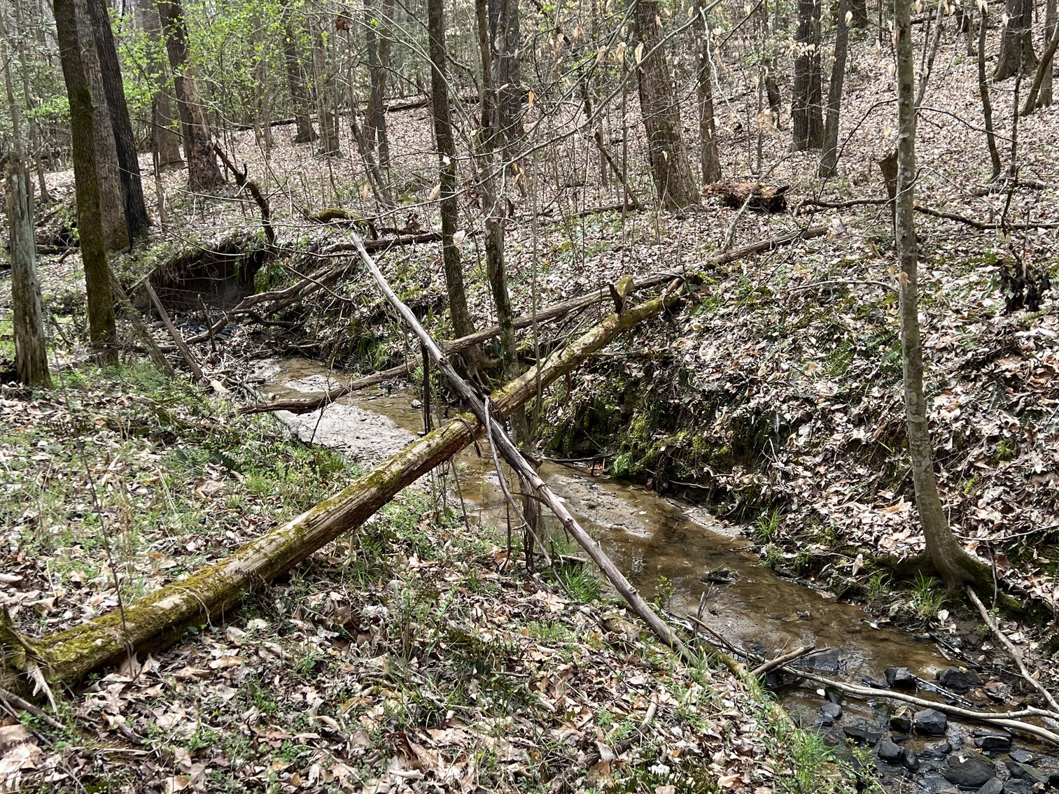 Image for Real Estate Auction - 60.9537± Acres in Forsyth County, NC