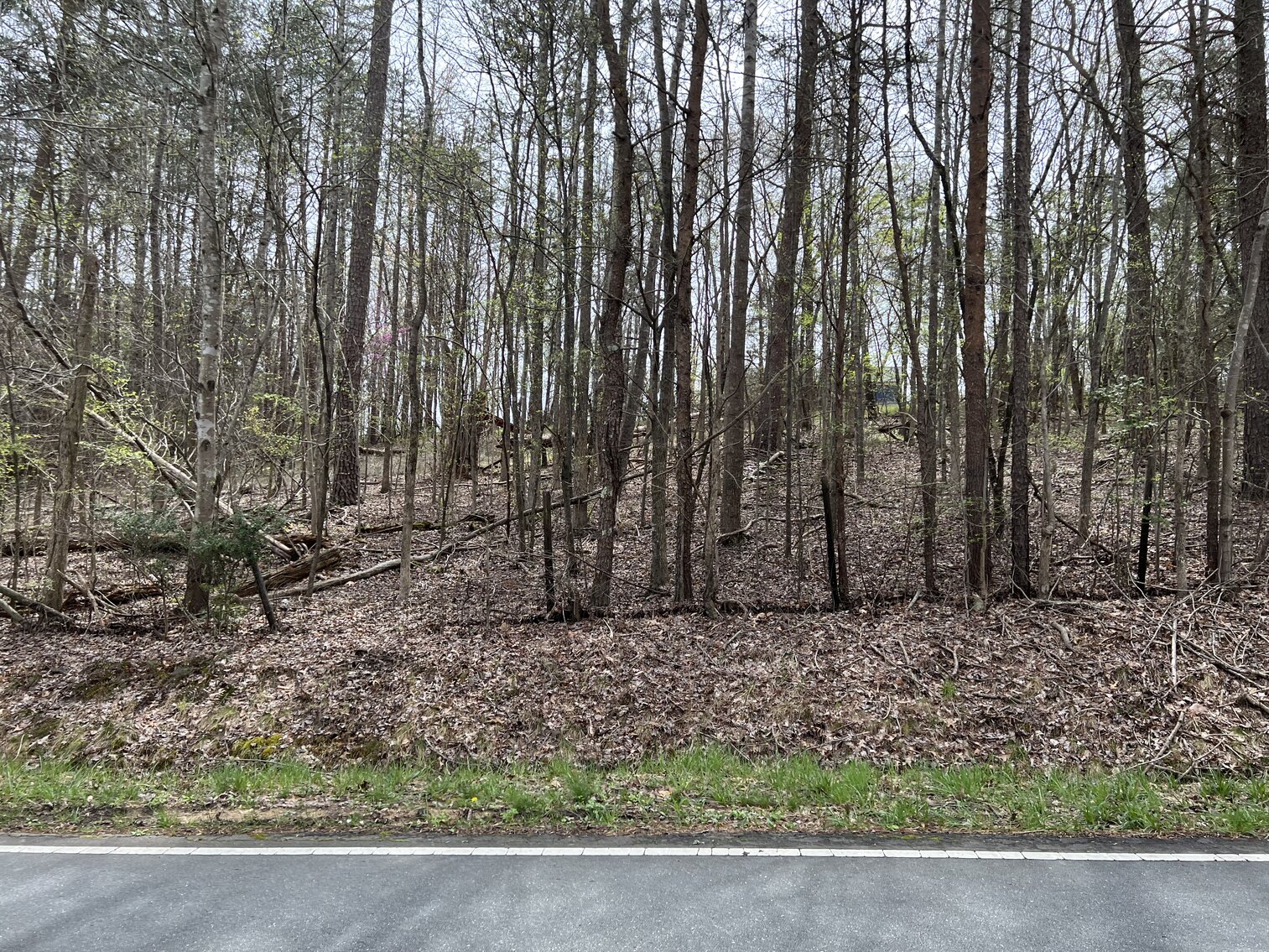 Image for Real Estate Auction - 60.9537± Acres in Forsyth County, NC