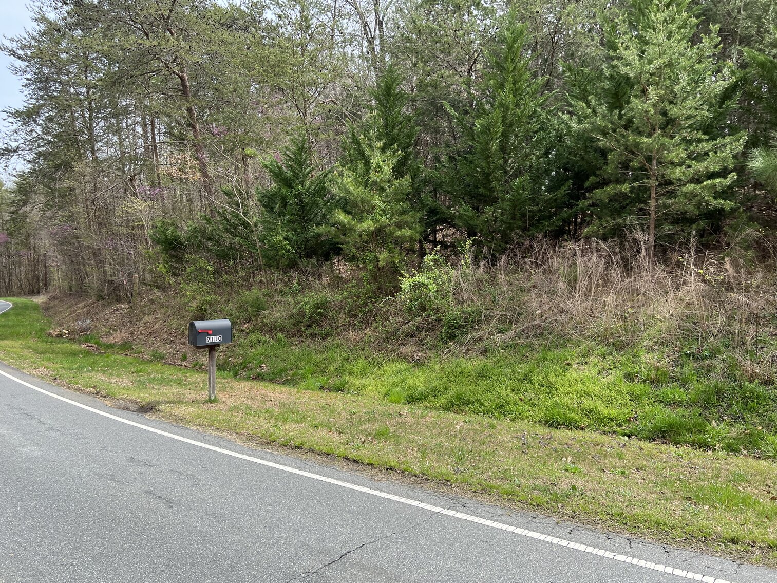 Image for Real Estate Auction - 60.9537± Acres in Forsyth County, NC