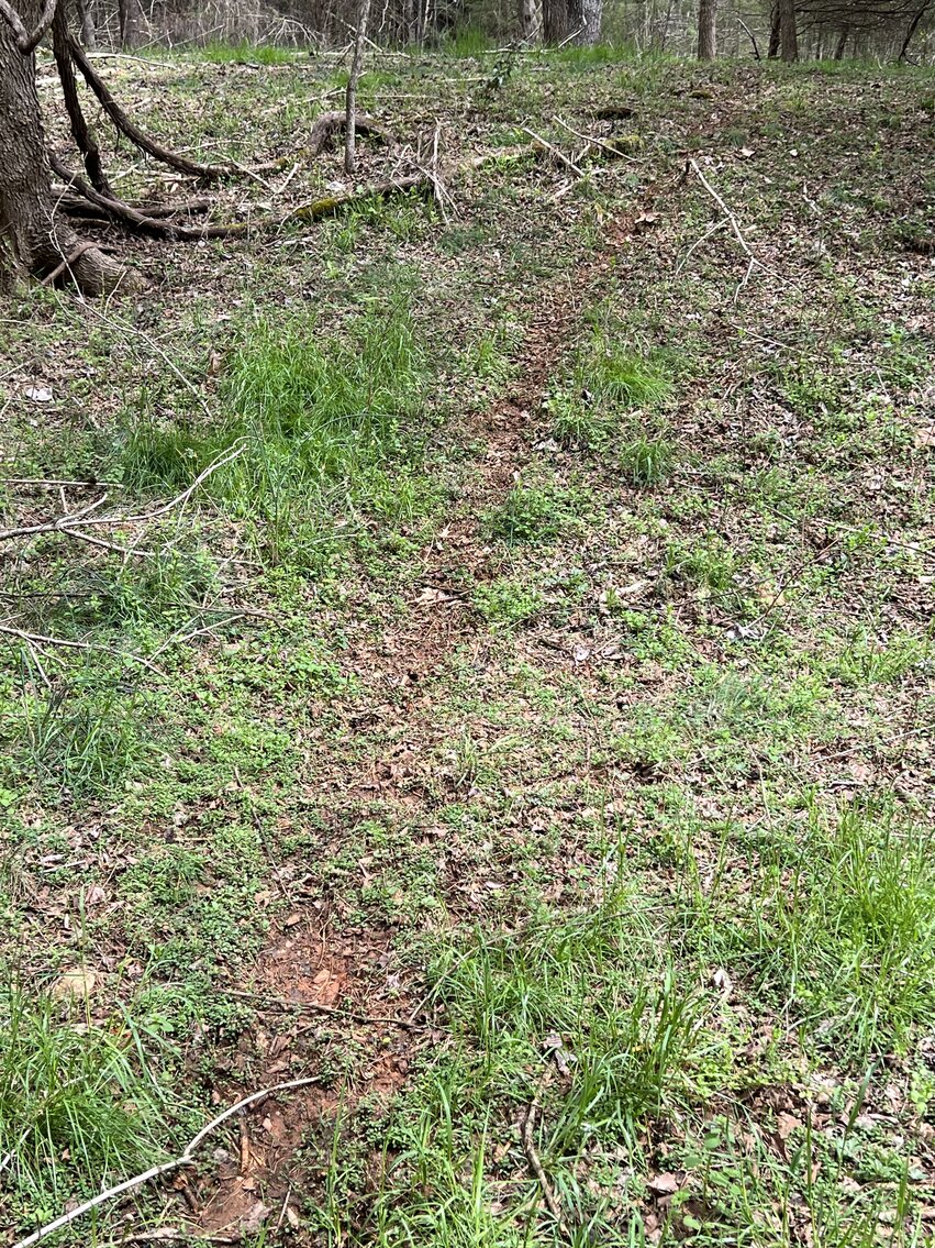 Image for Real Estate Auction - 60.9537± Acres in Forsyth County, NC