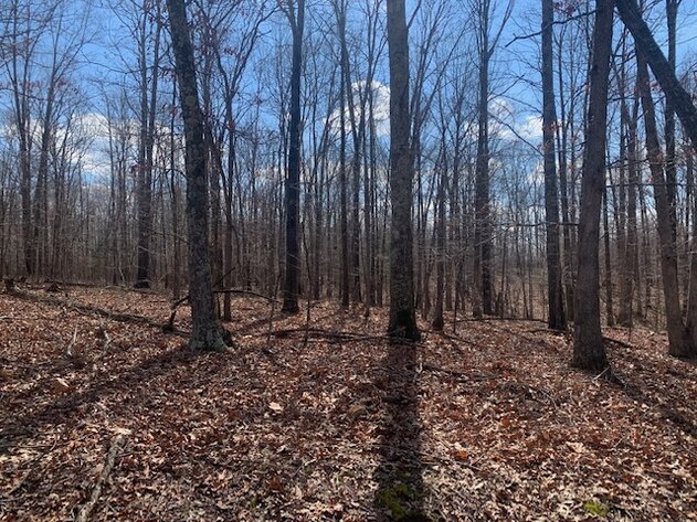 Image for LAND - 2 Locations: 7 Approved Residential Lots (8 acres) - Deer Run Estates off Pinewood Road & 2.6 acres in Bon Aqua