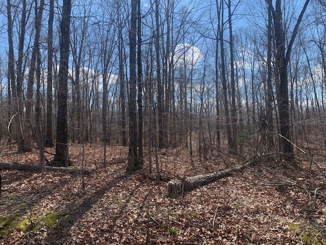 Image for LAND - 2 Locations: 7 Approved Residential Lots (8 acres) - Deer Run Estates off Pinewood Road & 2.6 acres in Bon Aqua