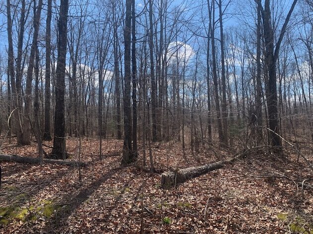 Image for LAND - 2 Locations: 7 Approved Residential Lots (8 acres) - Deer Run Estates off Pinewood Road & 2.6 acres in Bon Aqua