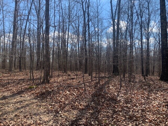 Image for LAND - 2 Locations: 7 Approved Residential Lots (8 acres) - Deer Run Estates off Pinewood Road & 2.6 acres in Bon Aqua