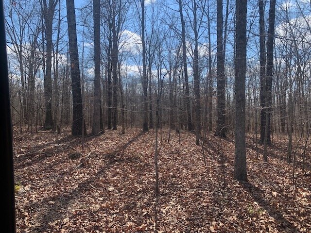Image for LAND - 2 Locations: 7 Approved Residential Lots (8 acres) - Deer Run Estates off Pinewood Road & 2.6 acres in Bon Aqua