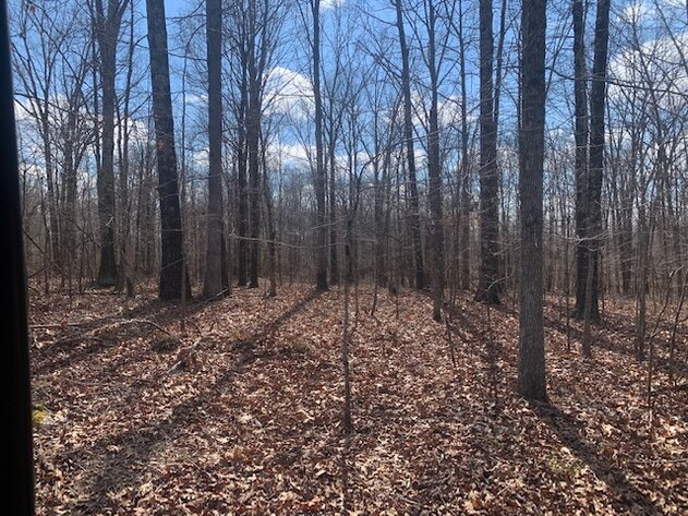 Image for LAND - 2 Locations: 7 Approved Residential Lots (8 acres) - Deer Run Estates off Pinewood Road & 2.6 acres in Bon Aqua
