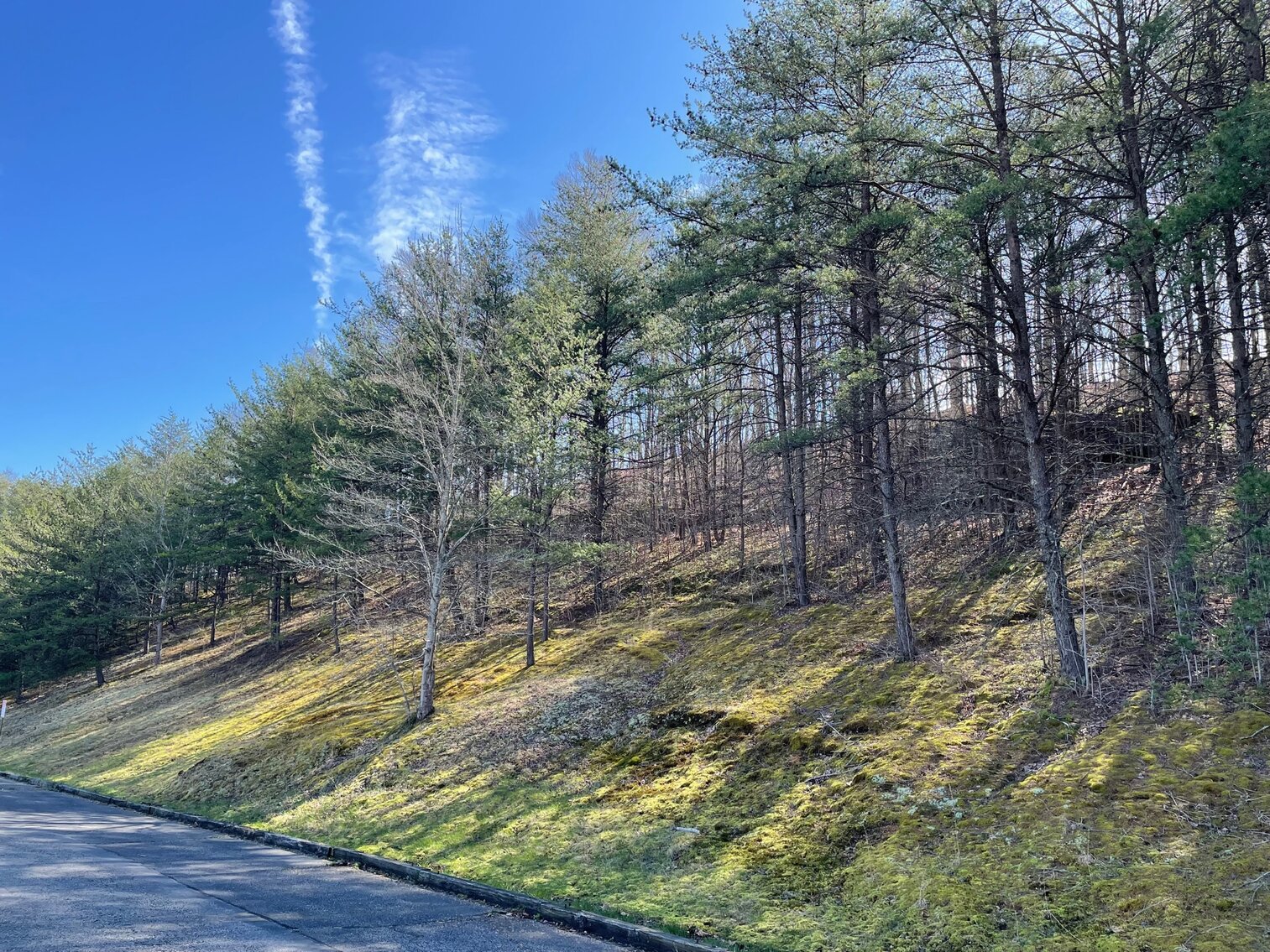 Image for SOLD $467,500 - 15,000 sqft. Building on 15 Acres