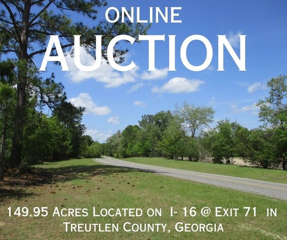 Image for ONLINE AUCTION - 149.95 Acres Located on  I- 16 @ Exit 71  in  Treutlen County, Georgia