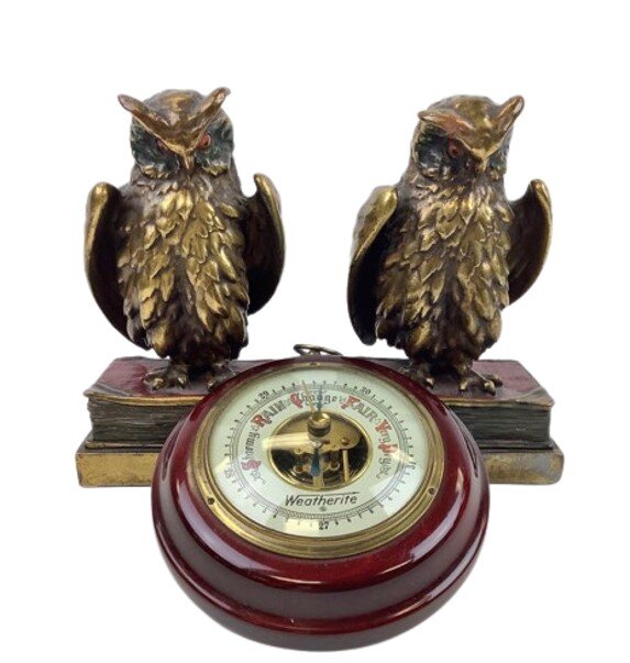 Image for Home & Decor | April 20, 2023 at 8:00 PM