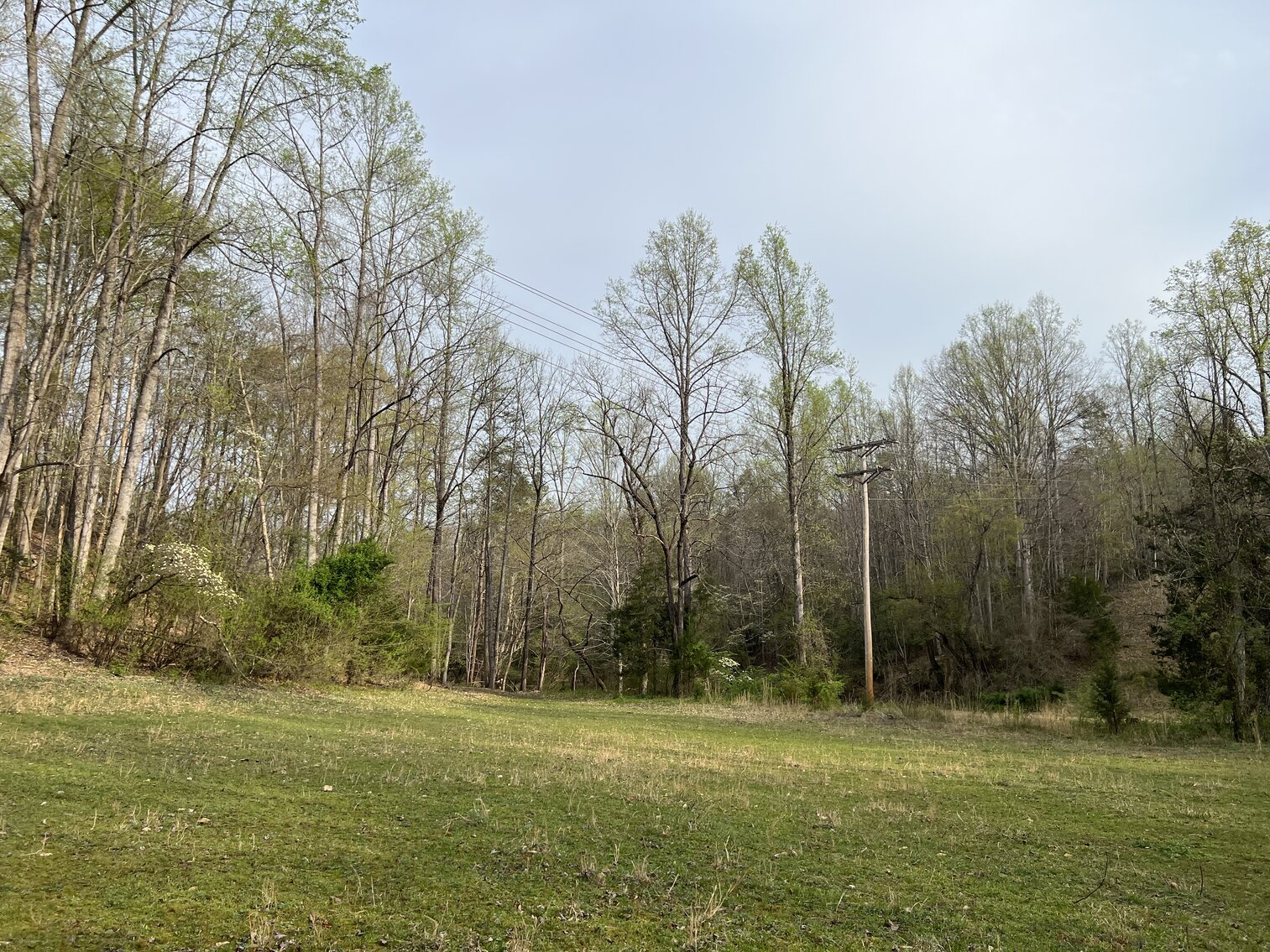 Image for Commissioner's Sale - Brick Home with 21 Acres