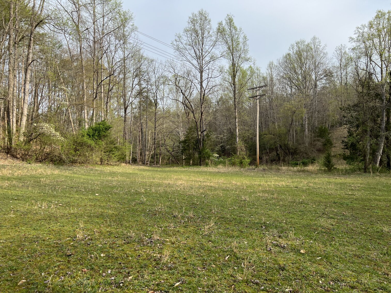 Image for Commissioner's Sale - Brick Home with 21 Acres