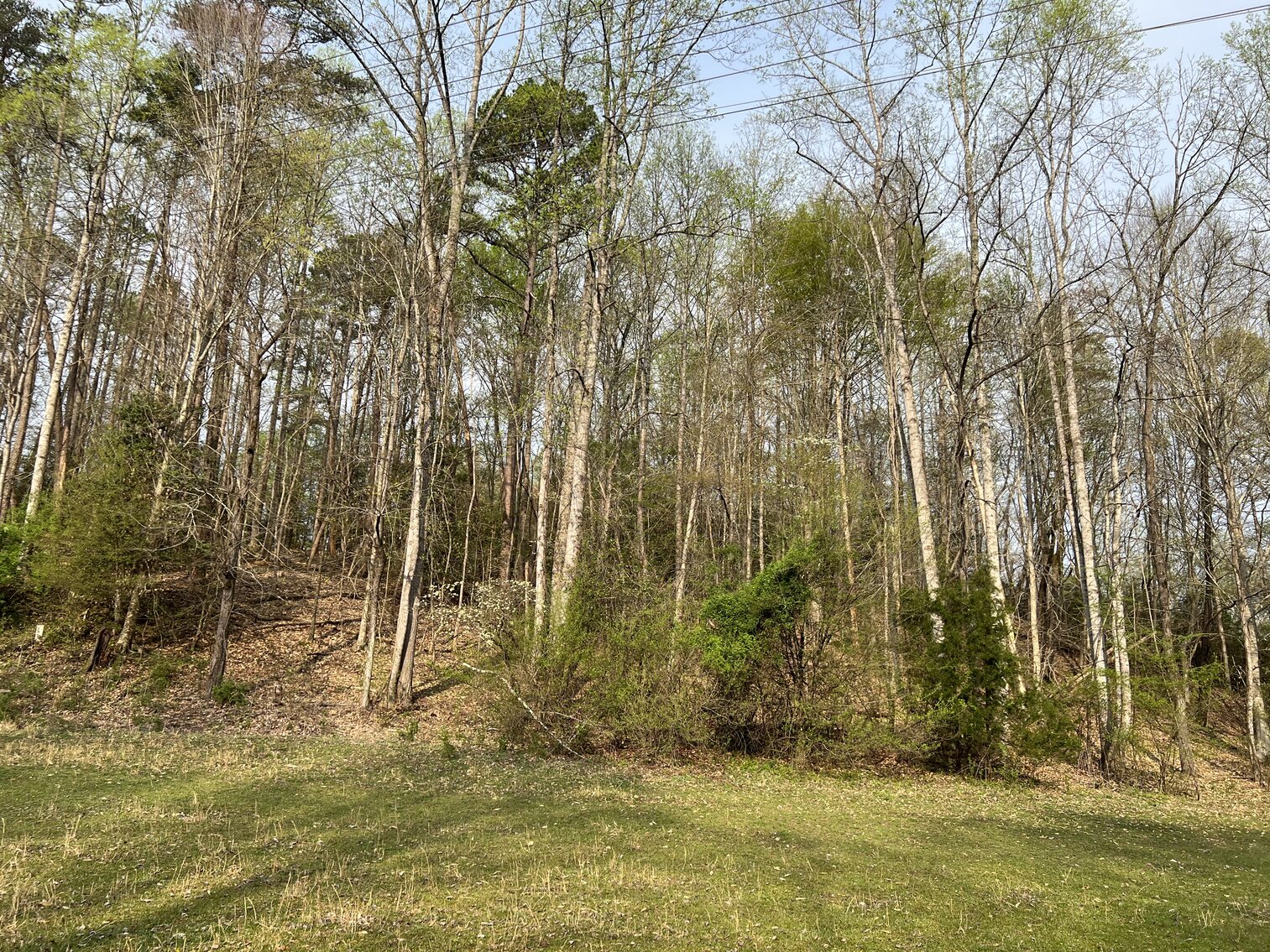 Image for Commissioner's Sale - Brick Home with 21 Acres