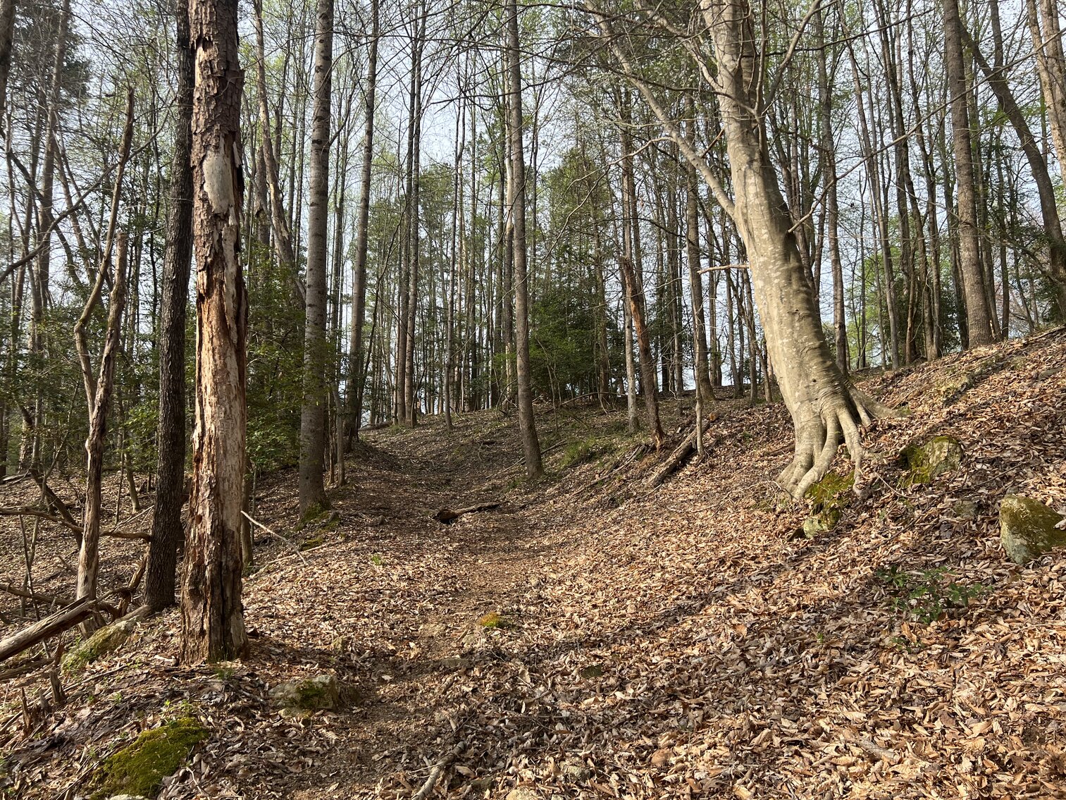 Image for Commissioner's Sale - Brick Home with 21 Acres