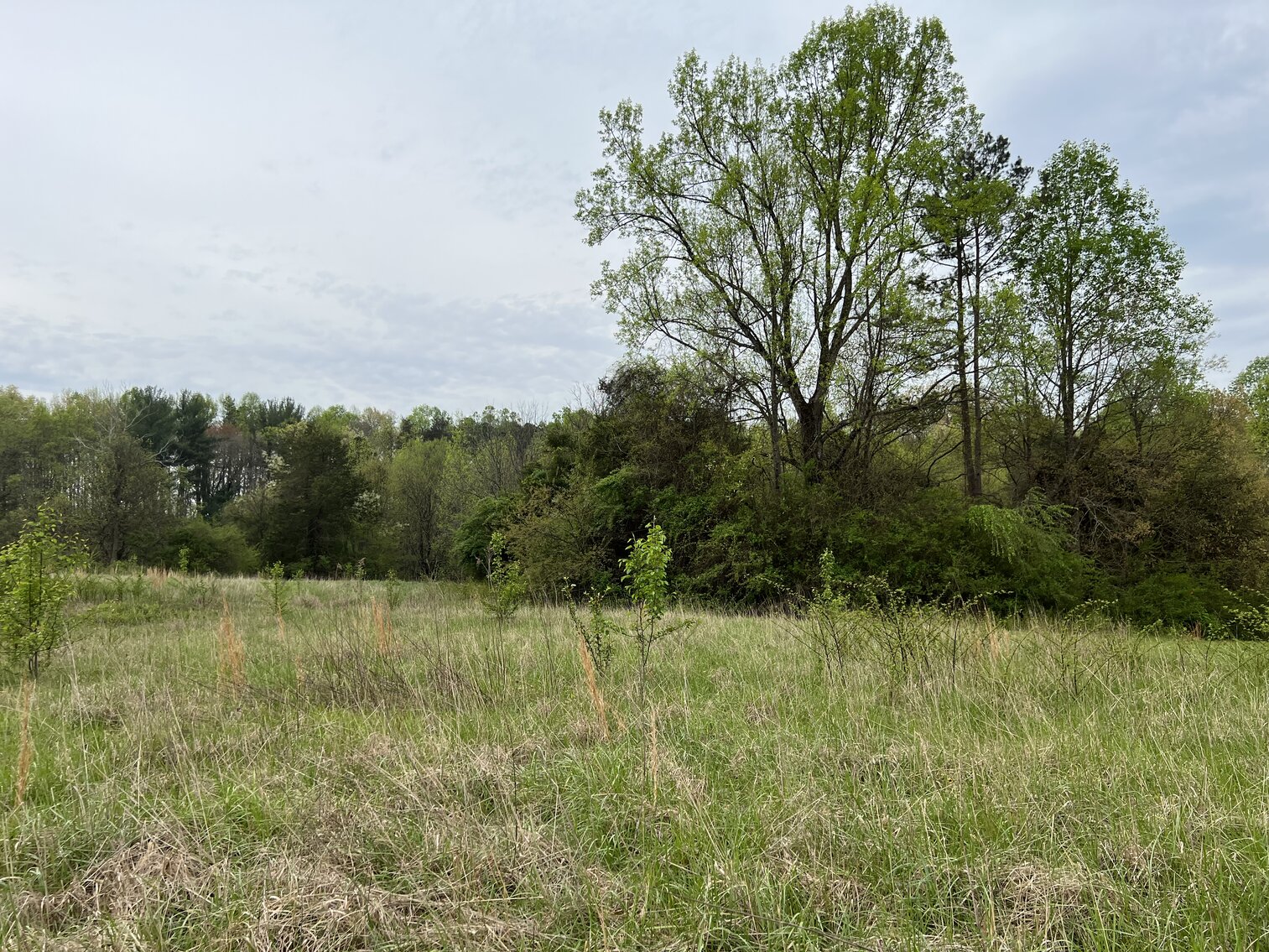 Image for Commissioner's Sale - Brick Home with 21 Acres