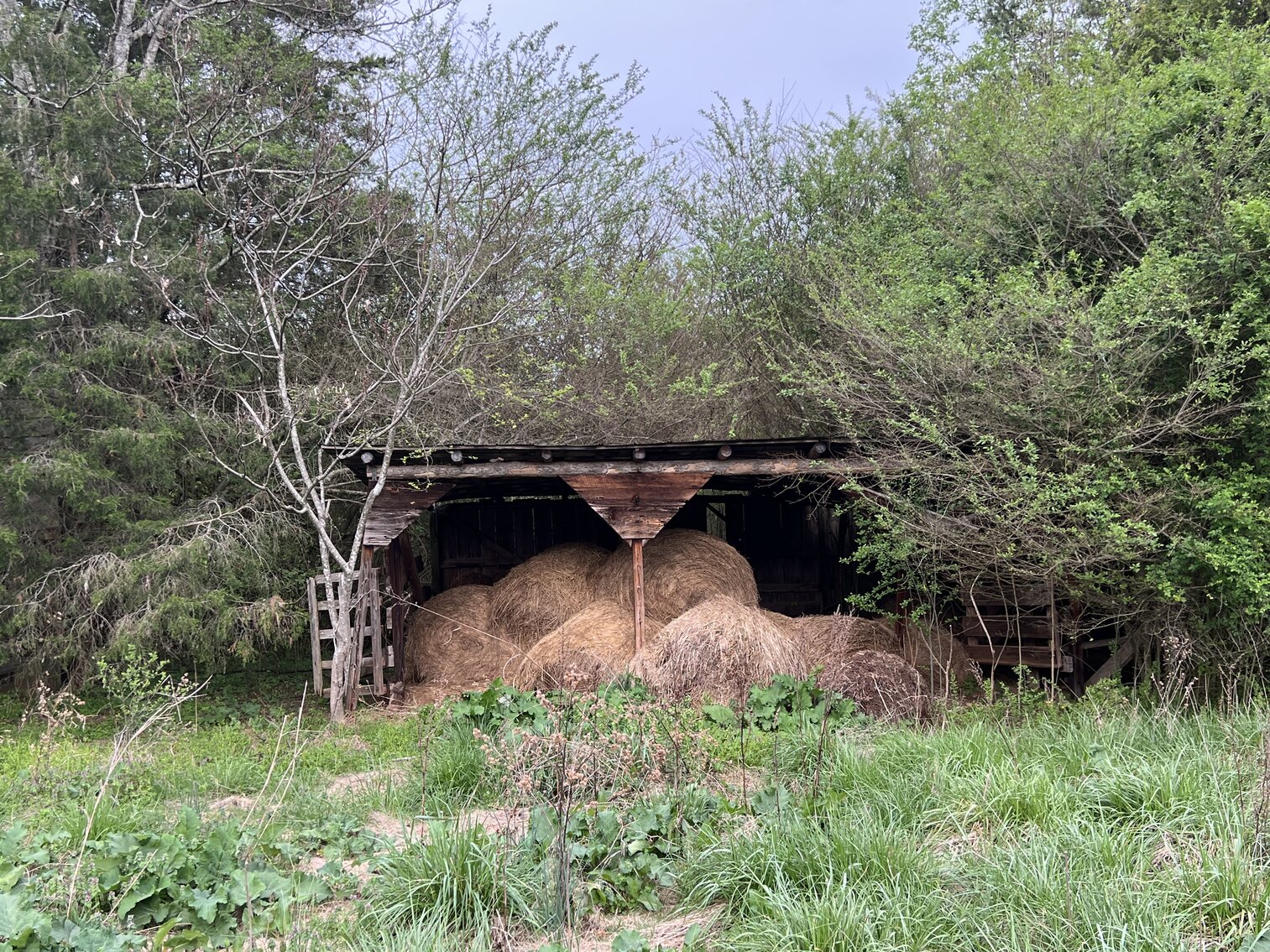 Image for Commissioner's Sale - Brick Home with 21 Acres