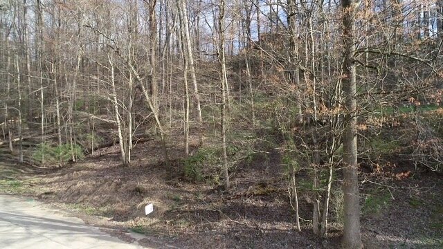 Image for SOLD $11,000 - 2.5 Acres in Hurricane Selling to the Highest Bidder