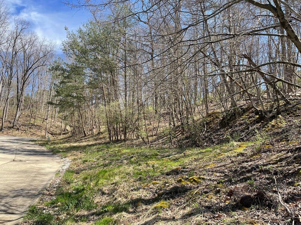 Image for SOLD $11,000 - 2.5 Acres in Hurricane Selling to the Highest Bidder