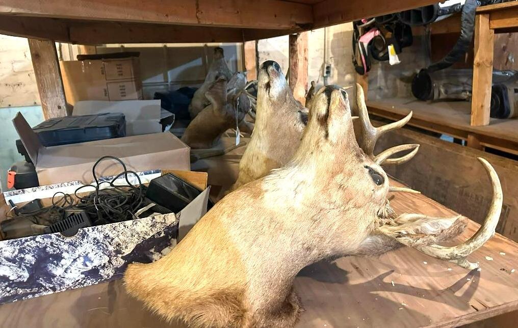 Image for Sol's Jewelry & Loan Pawn Shop Warehouse Inventory Reduction Blowout - 2-DAY LIVE ONSITE AUCTION - NO ONLINE BIDDING, NO BUYERS PREMIUM