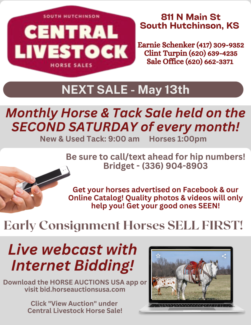 Image for Central Livestock Horse Sale - May 13th South Hutchinson, Kansas