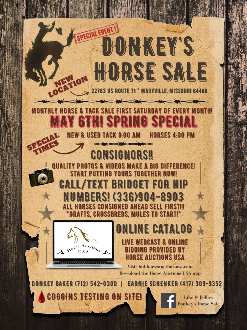 Donkey's Horse Sale SPRING SPECIAL May 6th - Maryville, Missouri