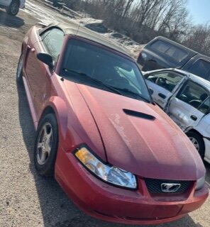 Image for Snow Emergency