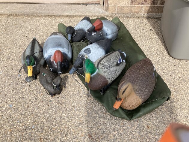 Image for Don Moser Auction