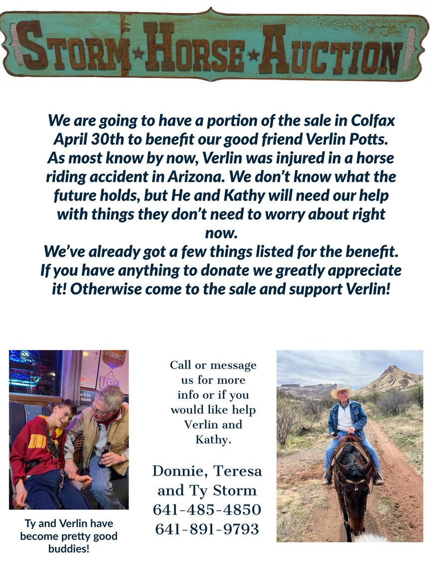 Storm Horse Auction SUNDAY April 30th Colfax, Iowa