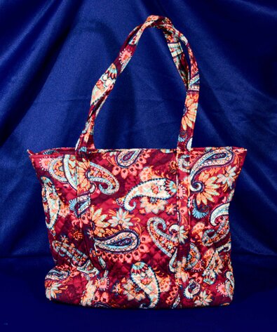 Image for APU Foundation Blue and Gold Benefit Auction