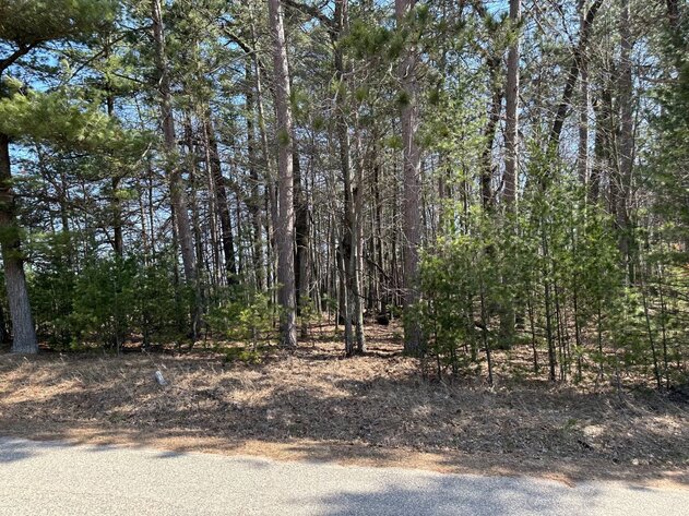 Image for Long Lake Drive Lots