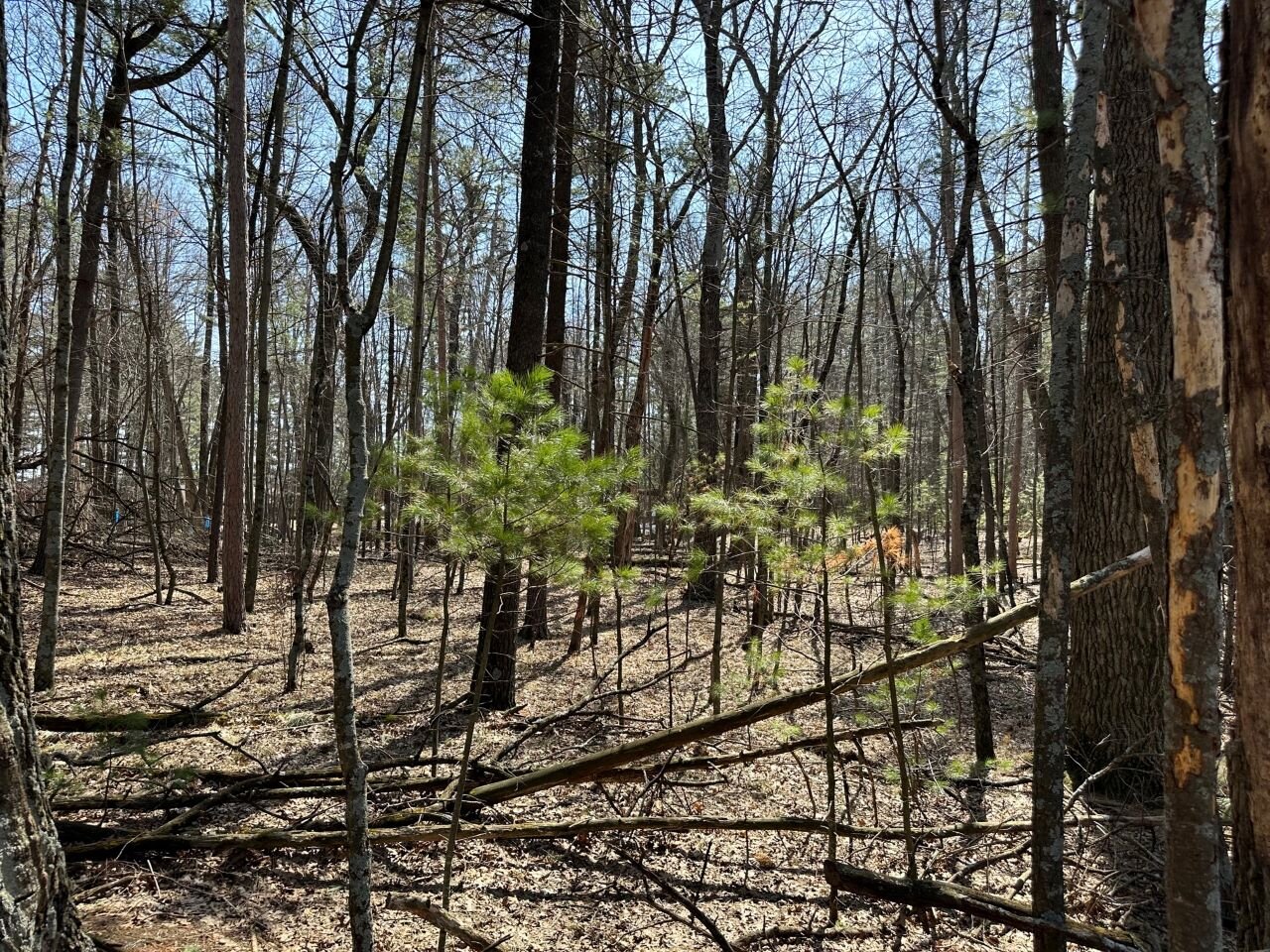 Image for Long Lake Drive Lots