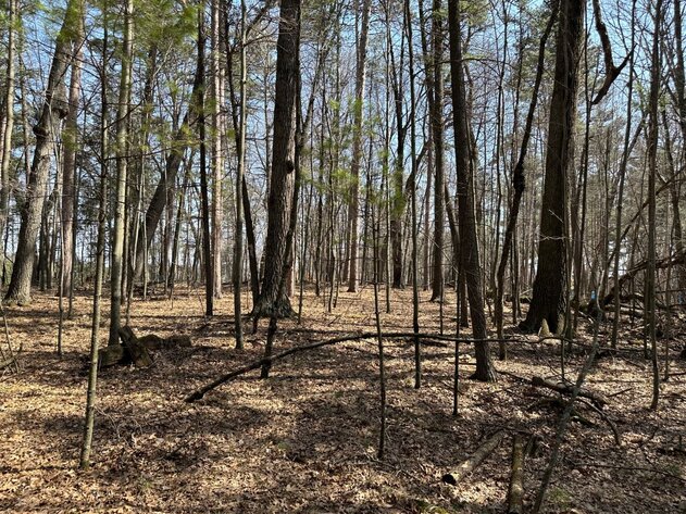 Image for Long Lake Drive Lots