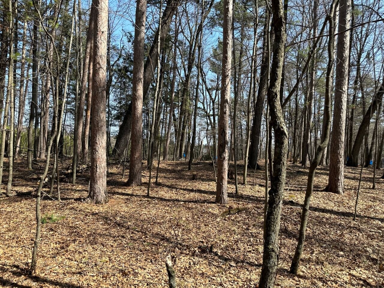 Image for Long Lake Drive Lots