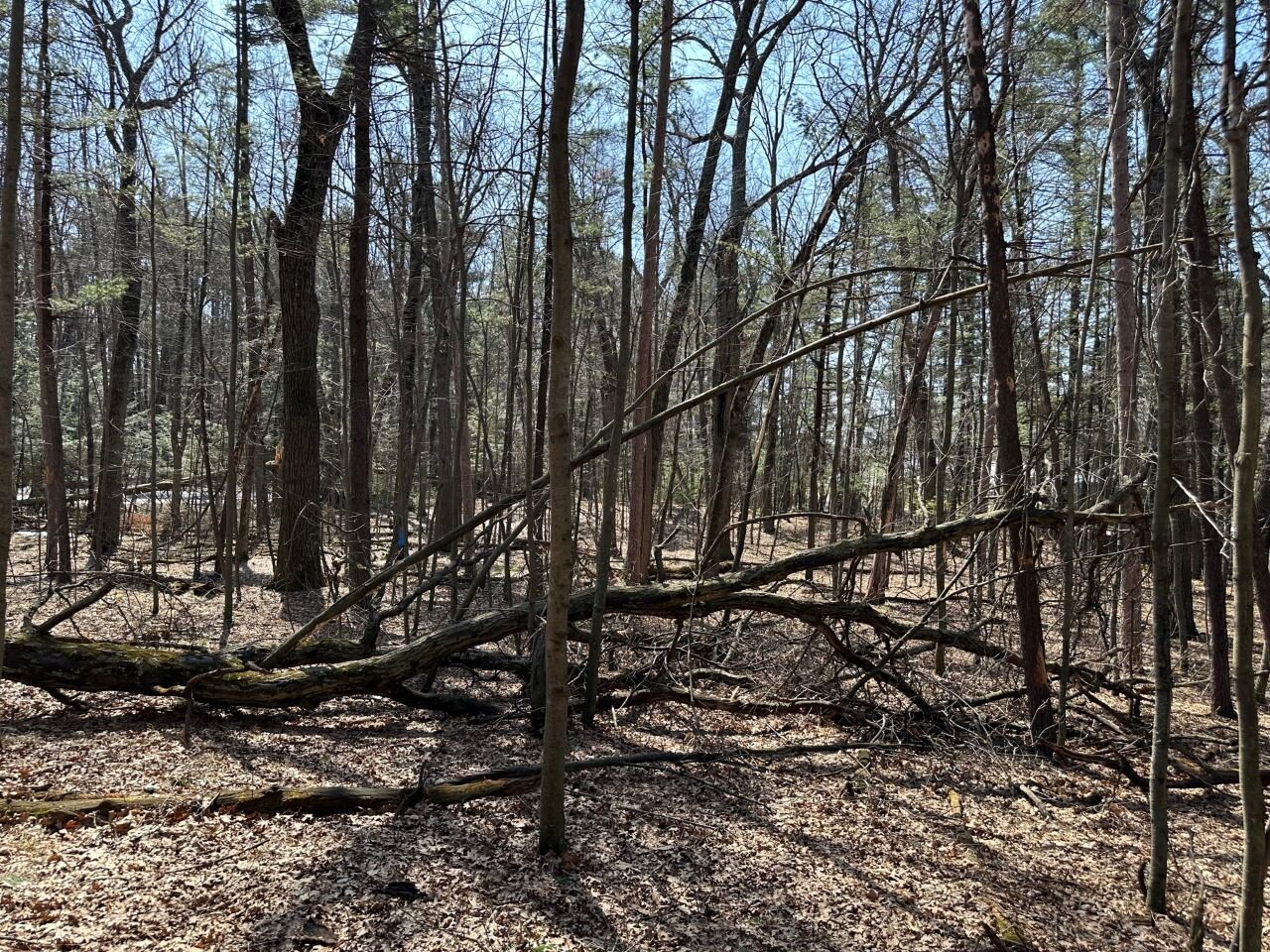 Image for Long Lake Drive Lots