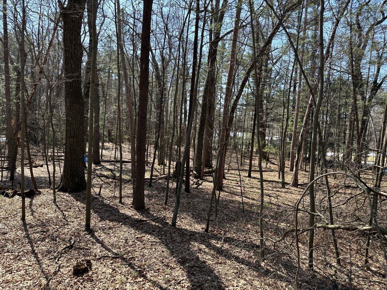 Image for Long Lake Drive Lots